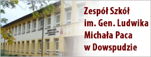 Zespół Szkół w Dowspudzie