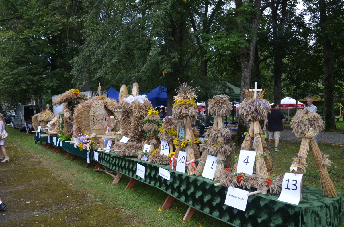 - Kliknięcie spowoduje wyświetlenie powiększenia zdjęcia