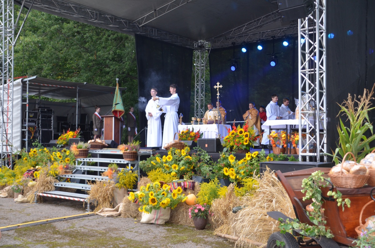 - Kliknięcie spowoduje wyświetlenie powiększenia zdjęcia