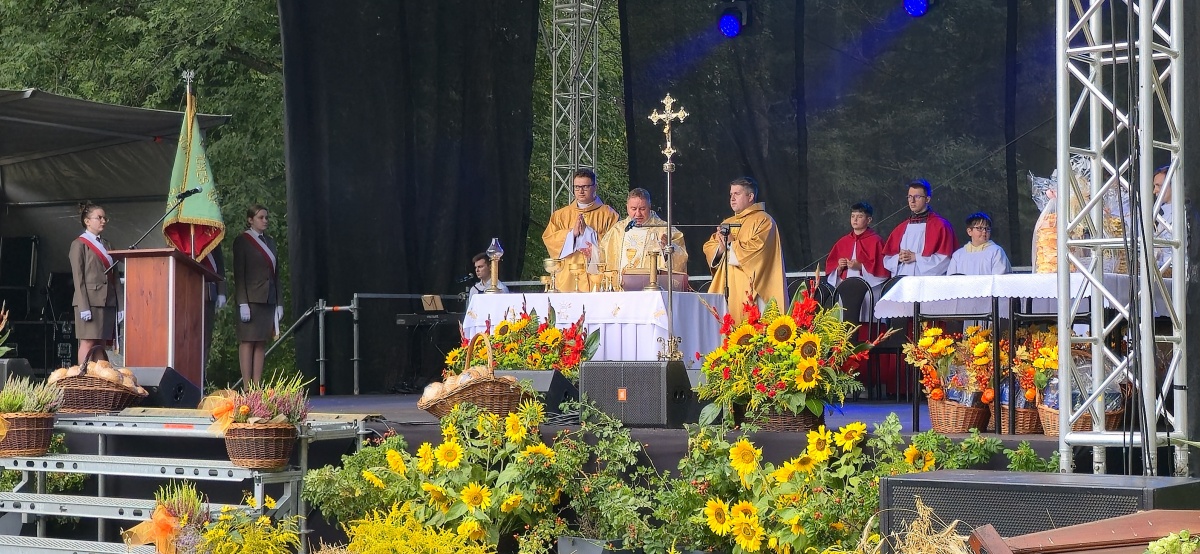 - Kliknięcie spowoduje wyświetlenie powiększenia zdjęcia