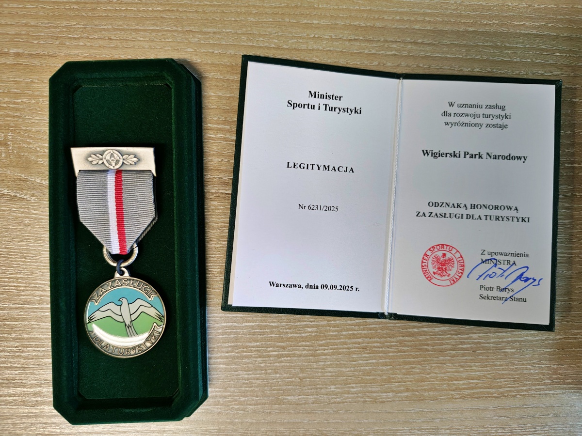 - Kliknięcie spowoduje wyświetlenie powiększenia zdjęcia